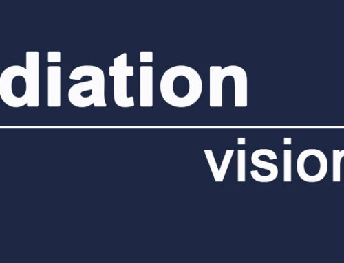 Mediation visionär